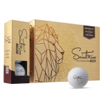 Saintnine N GOLD 세인트나인 N 골드 넥센정품