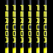 ::[디앤골프팩토리 정품]:: FERUGA PBS DRIVER 페루가 드라이버 샤프트