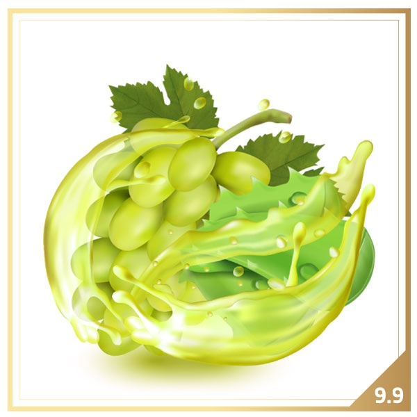 그레이프 알로에 MAX 입호흡 9.9