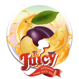 쥬시 자두 JUICY 100ml
