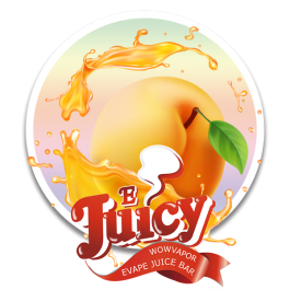 쥬시 살구 JUICY 100ml