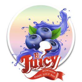 쥬시 블루베리 JUICY 30ml