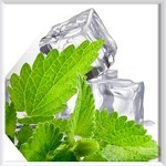 [30%] B.O.B 6위 서브 제로 쿨 올인원 입호흡용 9