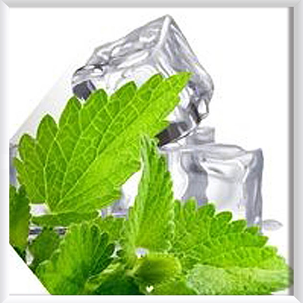 [30%] B.O.B 6위 서브 제로 쿨 올인원 입호흡용 9