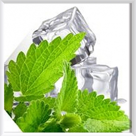 [30%] B.O.B 6위 서브 제로 쿨 올인원 입호흡용 9