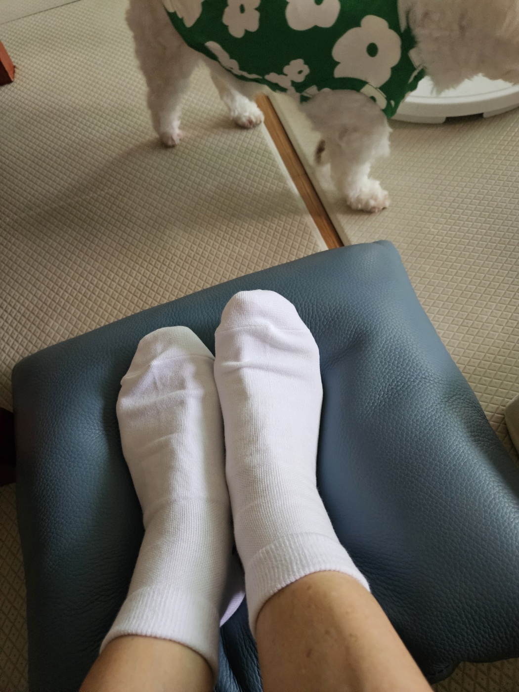 KakaoTalk_20250806_174548541_07.jpg