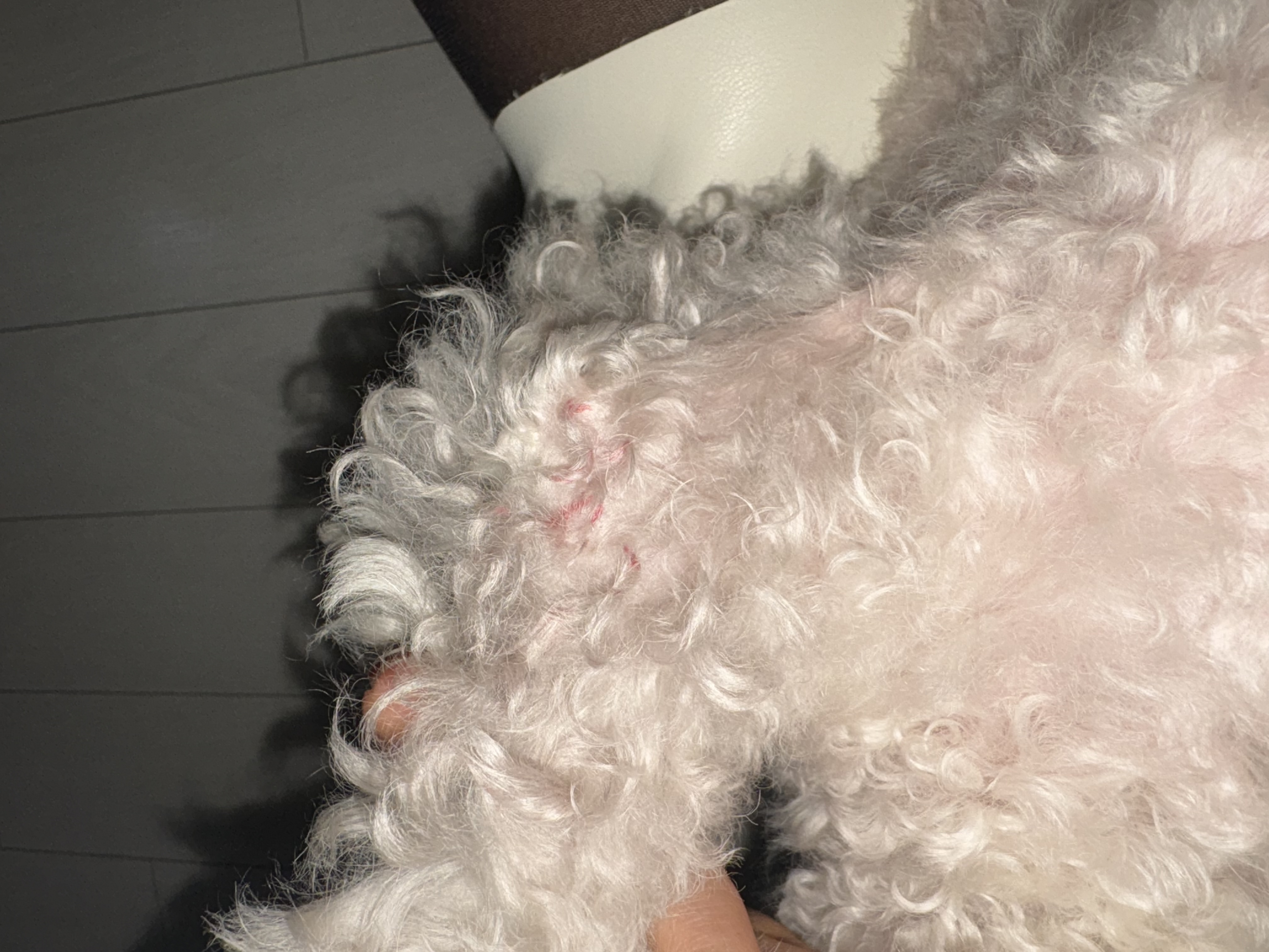 KakaoTalk_20241107_095200018.jpg