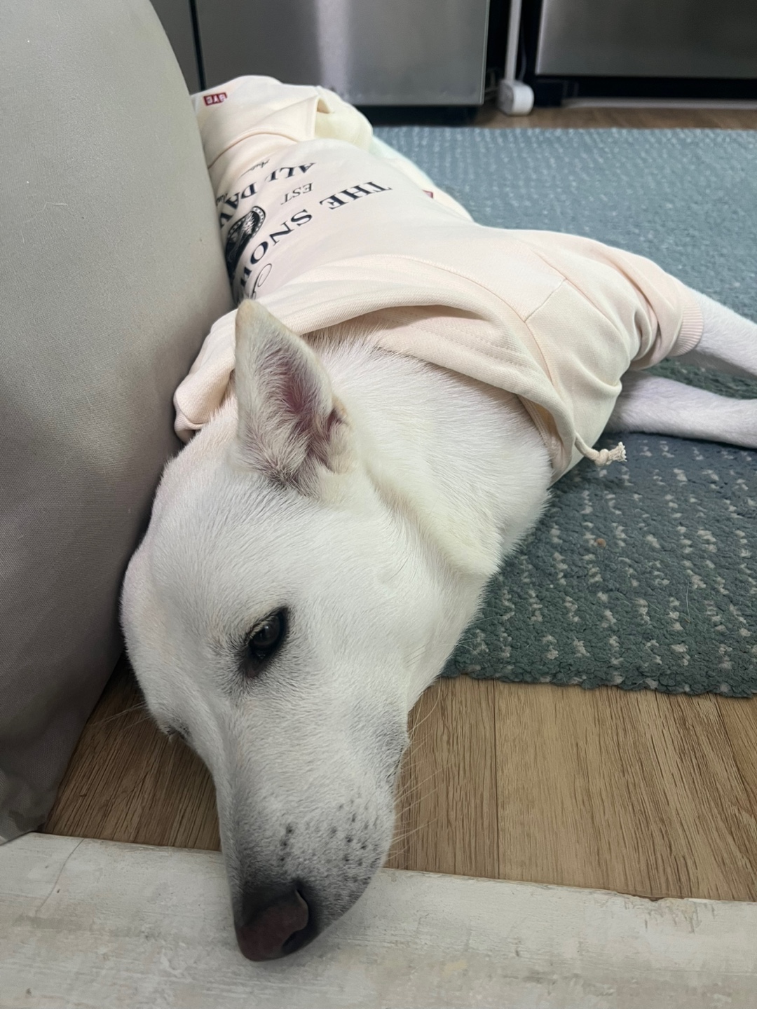 KakaoTalk_20241123_104409333_05.jpg