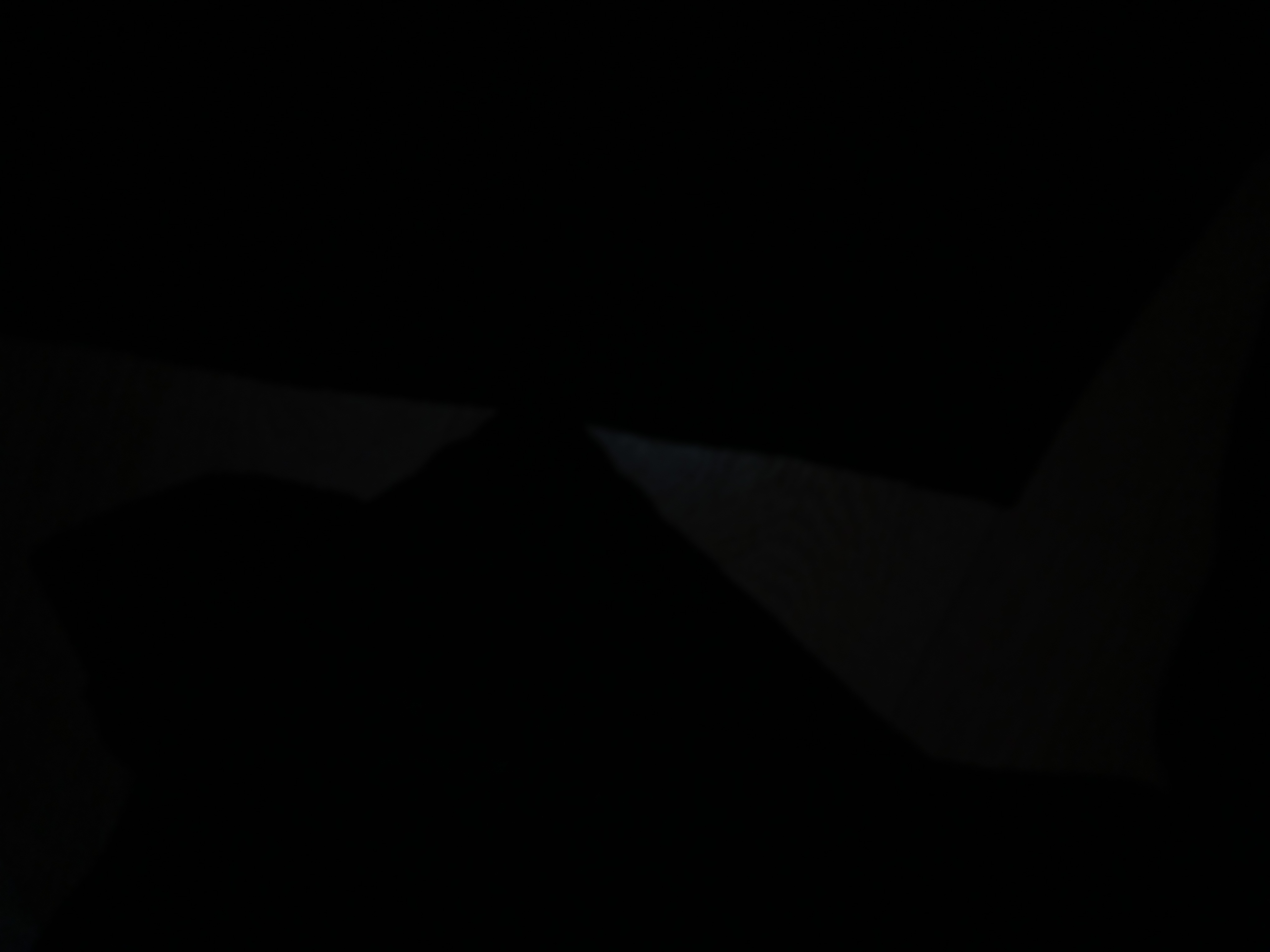 20260906_184606.jpg