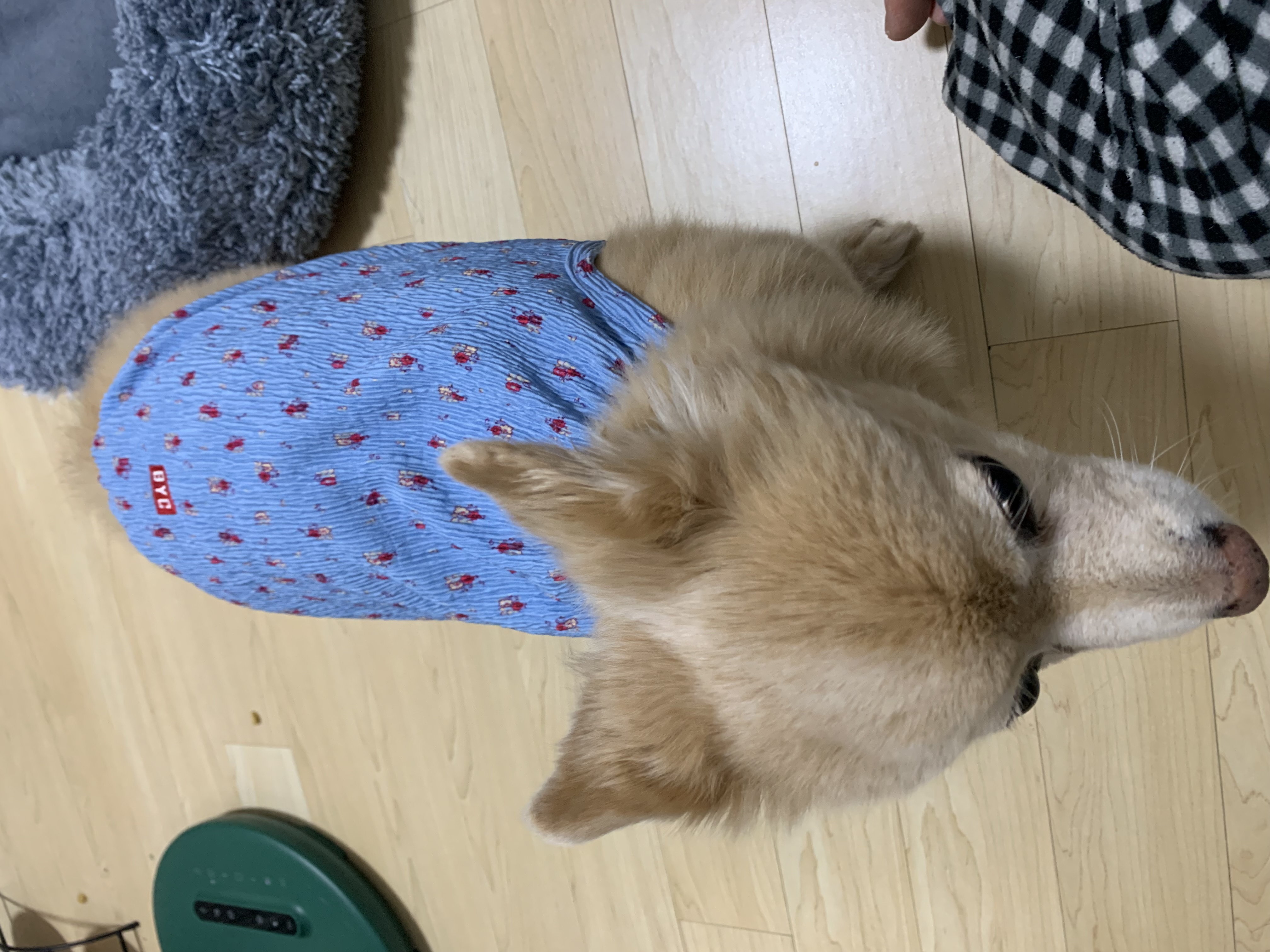 IMG_5562.jpeg
