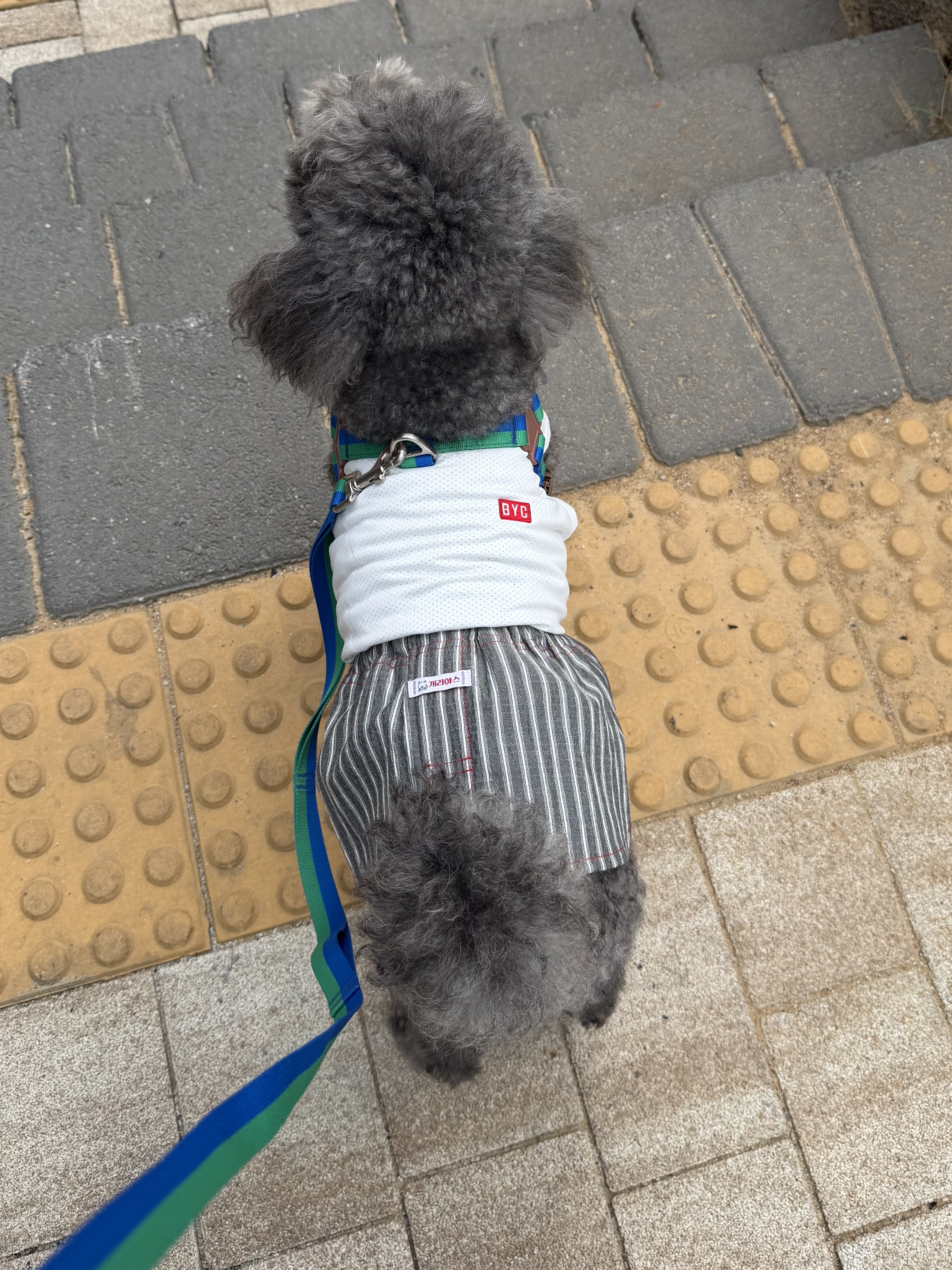 IMG_5096.jpeg