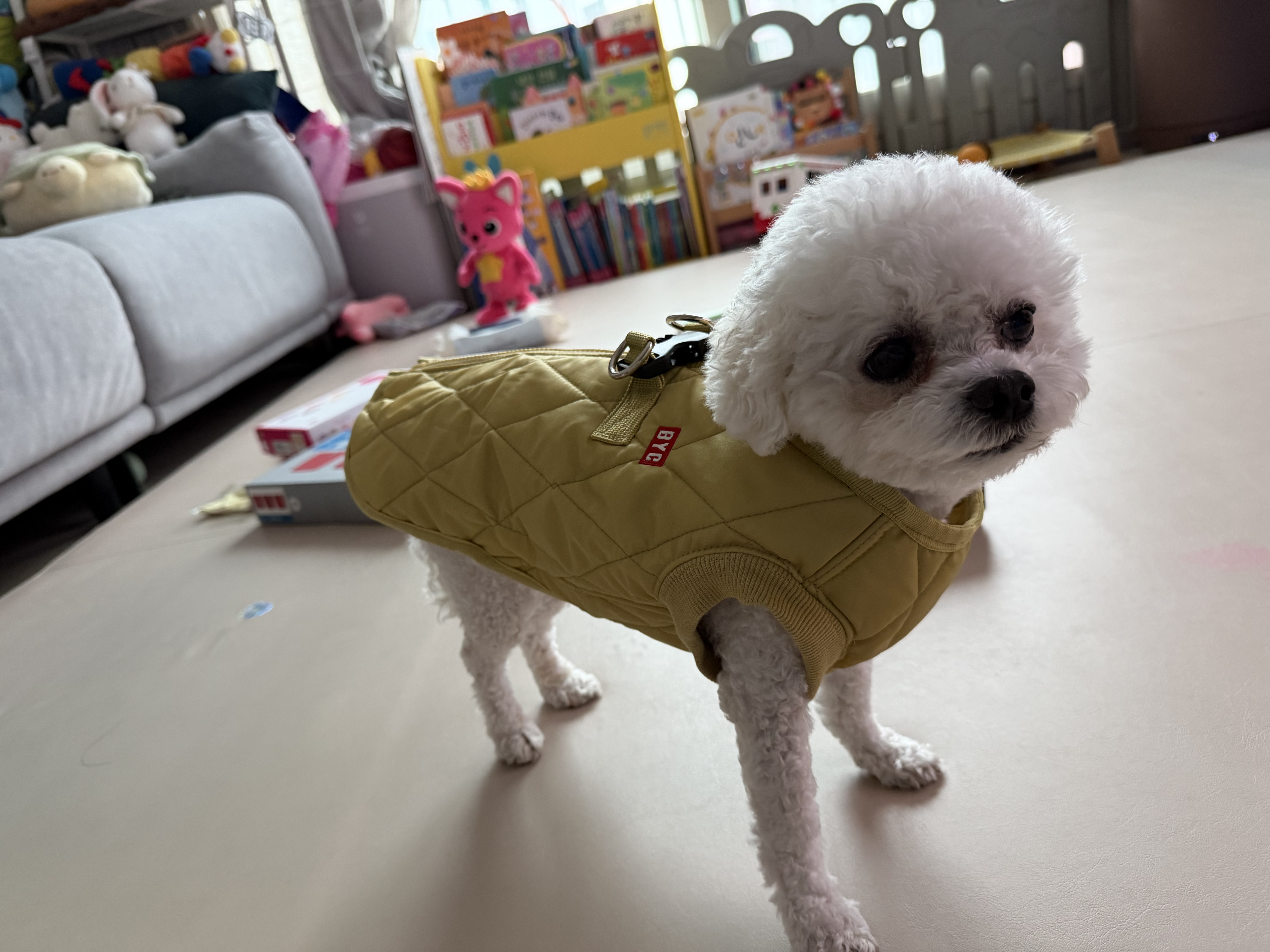 IMG_1651.jpeg