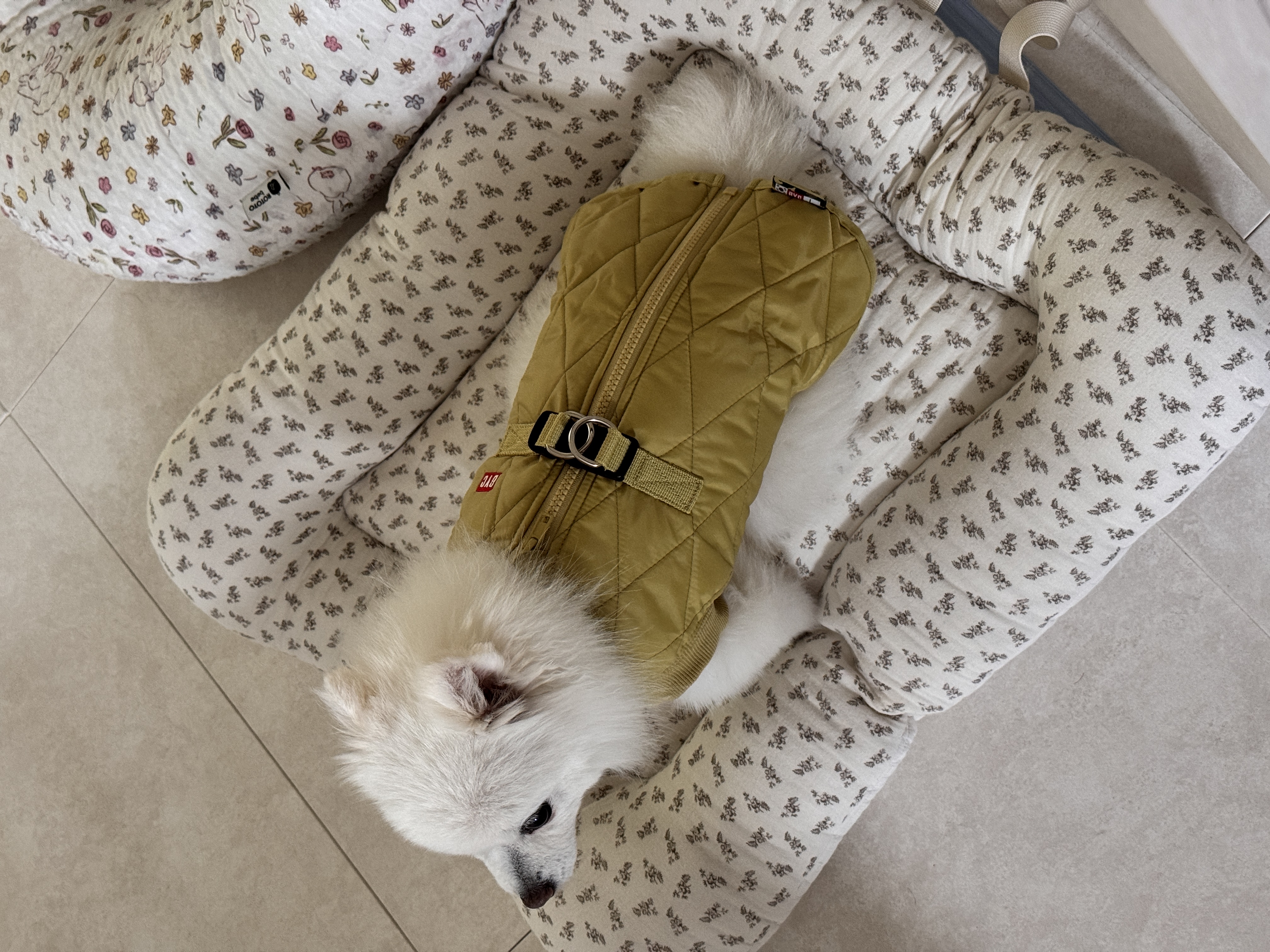 IMG_7716.jpeg