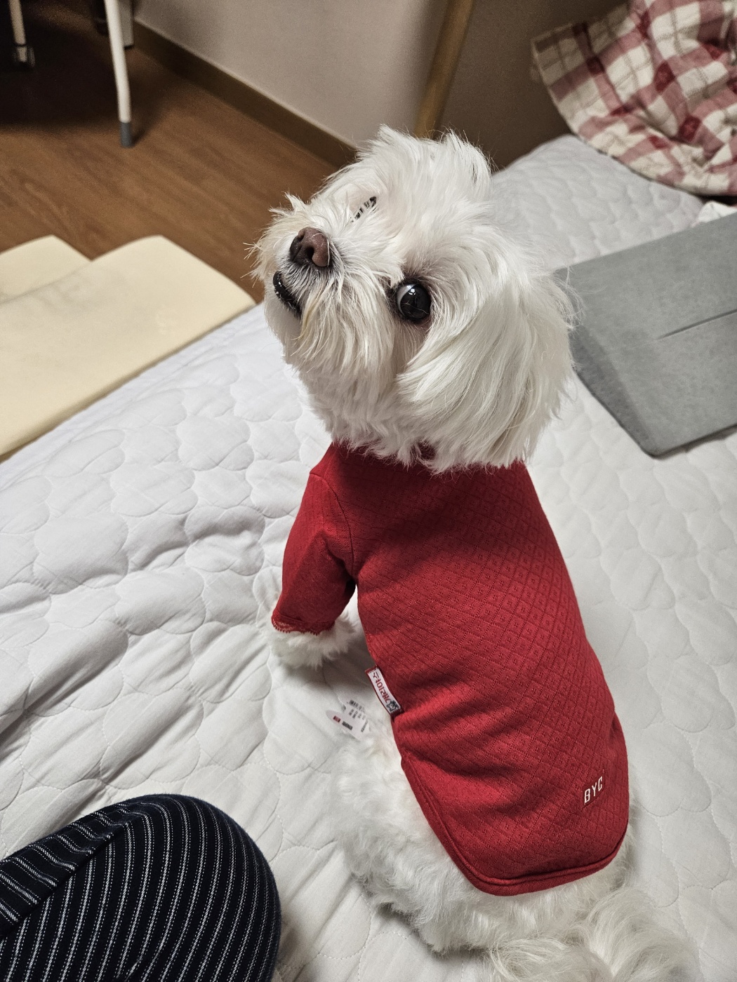 KakaoTalk_20251028_234326504.jpg