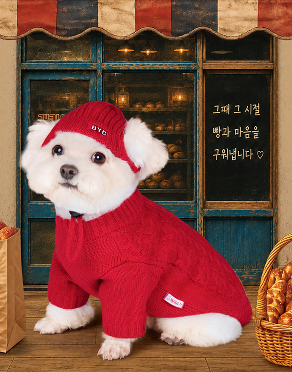 (사전예약)BYC개리야스<BR/>빨간비니[VDG8902]