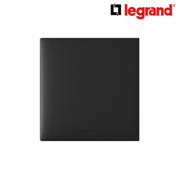 르그랑 아펠라블랙  맹플레이트2개용 1개