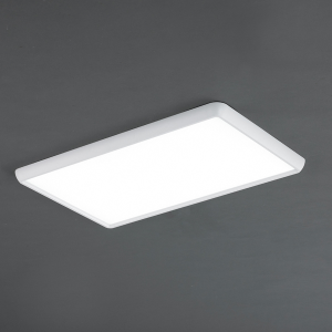 RAY(레이)LED 카이 직사각 60W 700x400