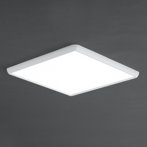 RAY(레이)LED 카이 방등 60W 550x550