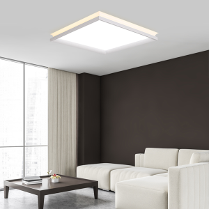 RAY(레이)LED 오로라 프로 방등 60W 670x670 5700k+3000k 2회로