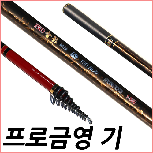 프로금영 기