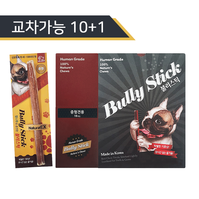 불리스틱 중형1박스(10개)