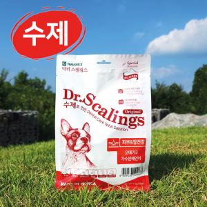 스켈링스_피부&장건강