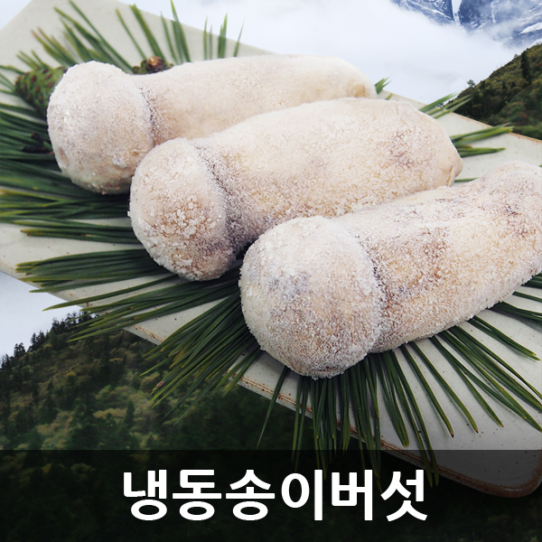자연산 송이버섯 [특품] 냉동 1kg [금강송이무역]