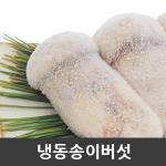 자연산 송이버섯 [특품] 냉동 1kg [금강송이무역]