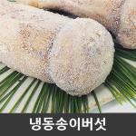 자연산 송이버섯 [특품] 냉동 1kg [금강송이무역]