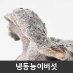 자연산 능이버섯 [특품] 냉동 1kg / 건조 100g [금강송이무역]
