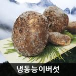 자연산 능이버섯 [특품] 냉동 1kg / 건조 100g [금강송이무역]