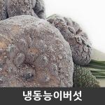 자연산 능이버섯 [특품] 냉동 1kg / 건조 100g [금강송이무역]