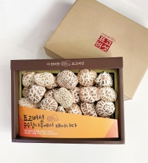 천자고 백화고 세트