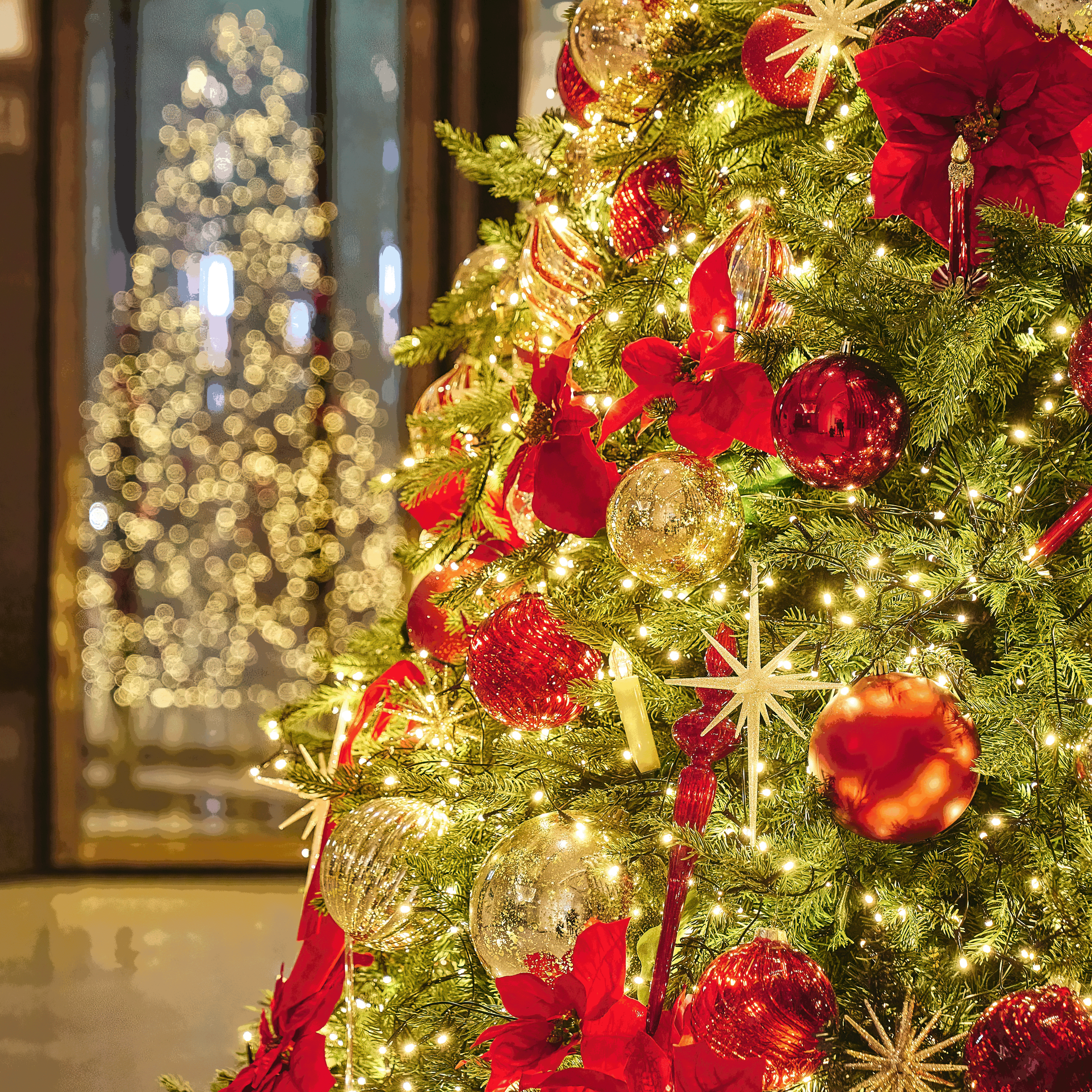 클래스의 시그니엘 부산 – SIGNIEL Holiday Atelier 연말클래스_1