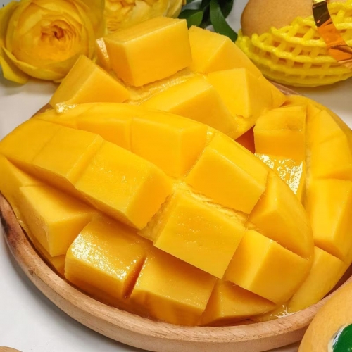 달콤한 프리미엄 태국 골드망고