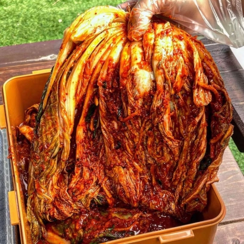 시원한 감칠맛을 살린 갓 담근 김장김치