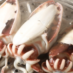 갓 잡아올린 남해안 손질 갑오징어