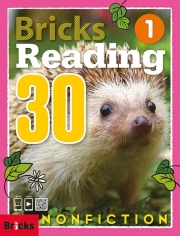 Bricks Reading Nonfiction 30 1