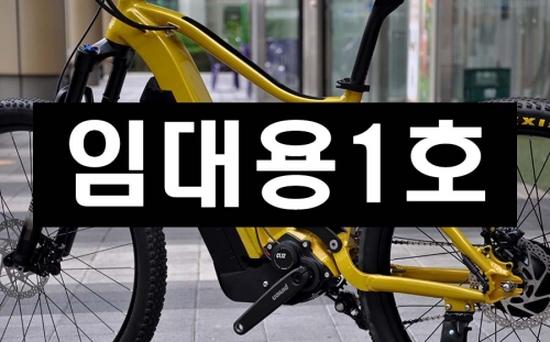 임대용1호 200km 한강투어 피니언자동