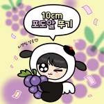 [#BTS] 포도알 뚜기 10cm 인형 키링 | GRAPE TTUGI DOLL