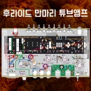 FRIEDMANMARY AMP PACK