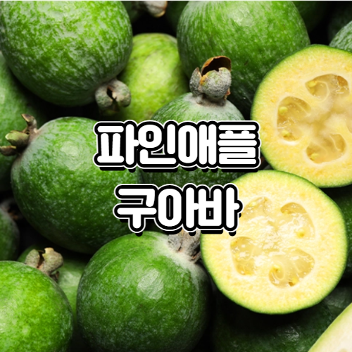 에디터이미지