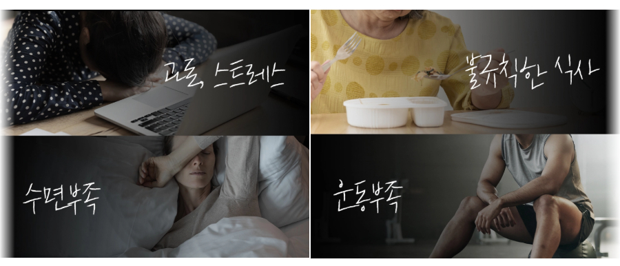 현대인의 과로와 피로 및 스트레스