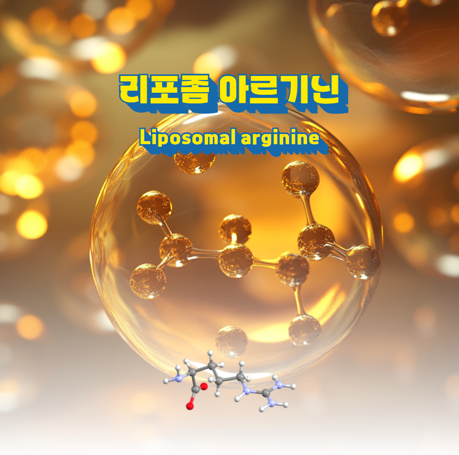 2중 특허 제조기술 리포좀 아르기닌 소개