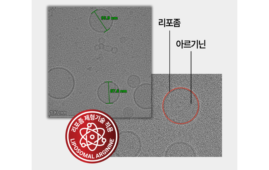 L-아르기닌이 포합된 리포좀의 실제 TEM 이미지