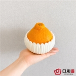팬캡 P160
