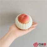 팬캡 P140