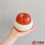 팬캡 P180