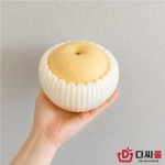 팬캡 P200