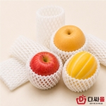 일반망 17cm